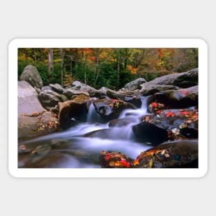 Little Pigeon River Cascading Among Rocks And Colorful Fall Maple Leaves Great Smoky Mountains National Park Sticker